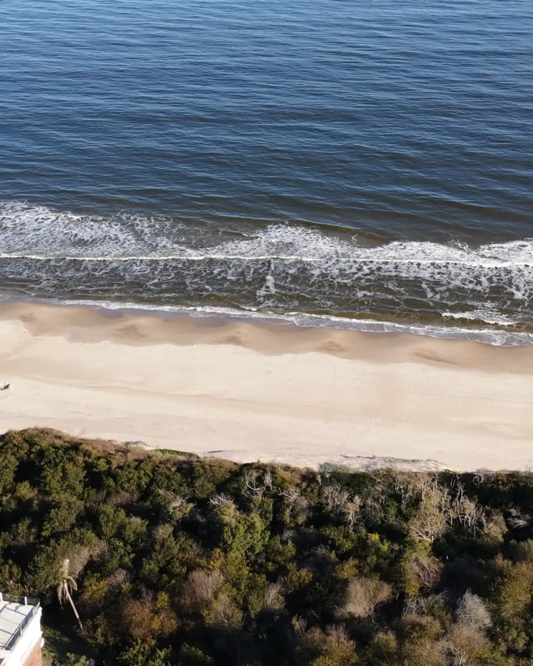 La playa de Santa Ana desde el aire, con el monte llegando a la arena